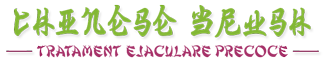 Chinese Brush